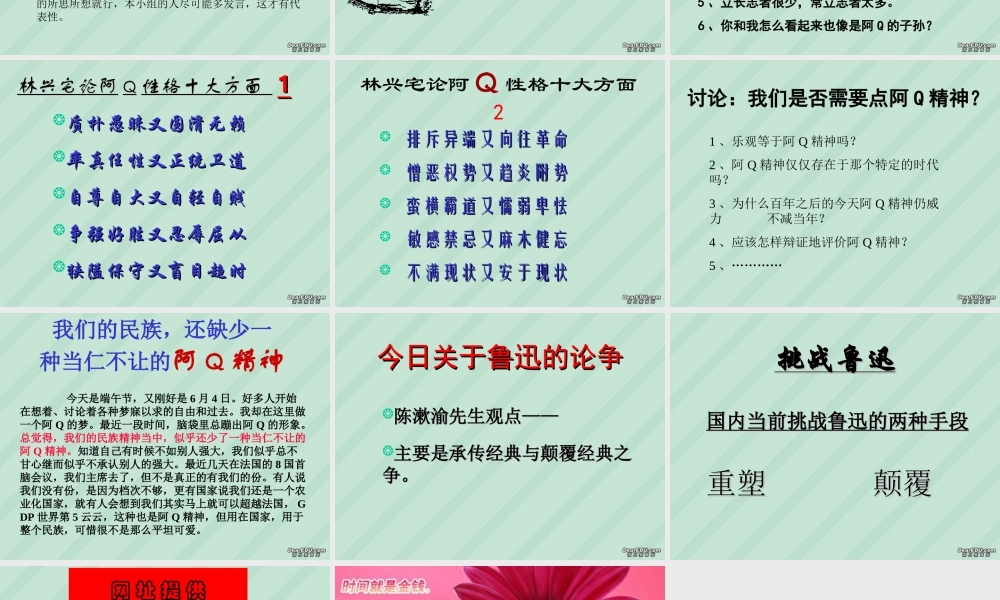 我所了解的 阿Q正传高三语文课件