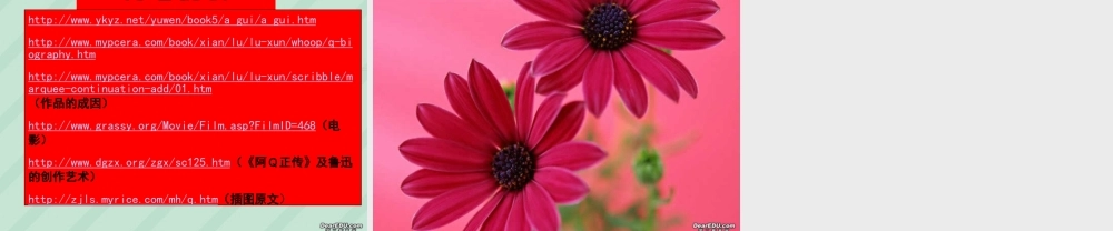 我所了解的 阿Q正传高三语文课件