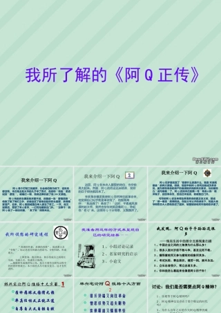 我所了解的 阿Q正传高三语文课件