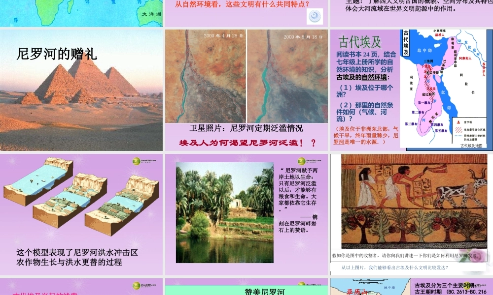 八年级历史与社会上册 第二单元 第1课得天独厚的大河文明课件 人教版 课件