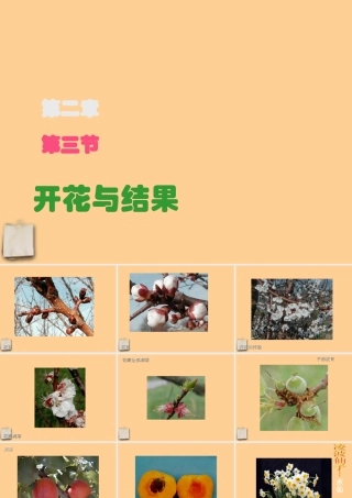 七年级生物上册 第三节开花与结果课件 人教新课标版 课件
