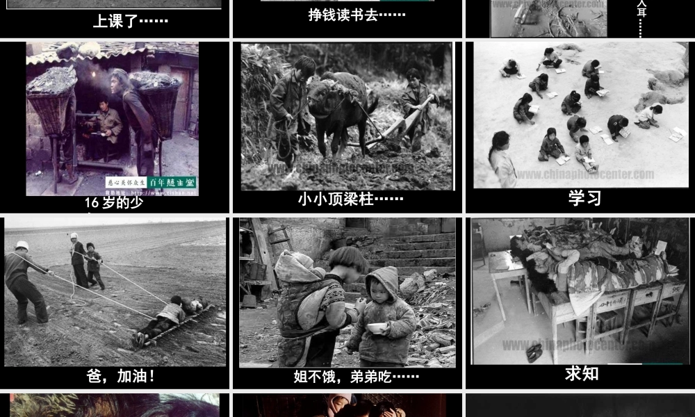 九年级政治 37(关注弱势群体) 走近同龄人 课件 教科版 课件