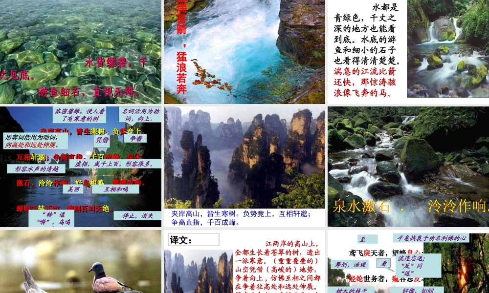 与朱元思书-课件-(2)