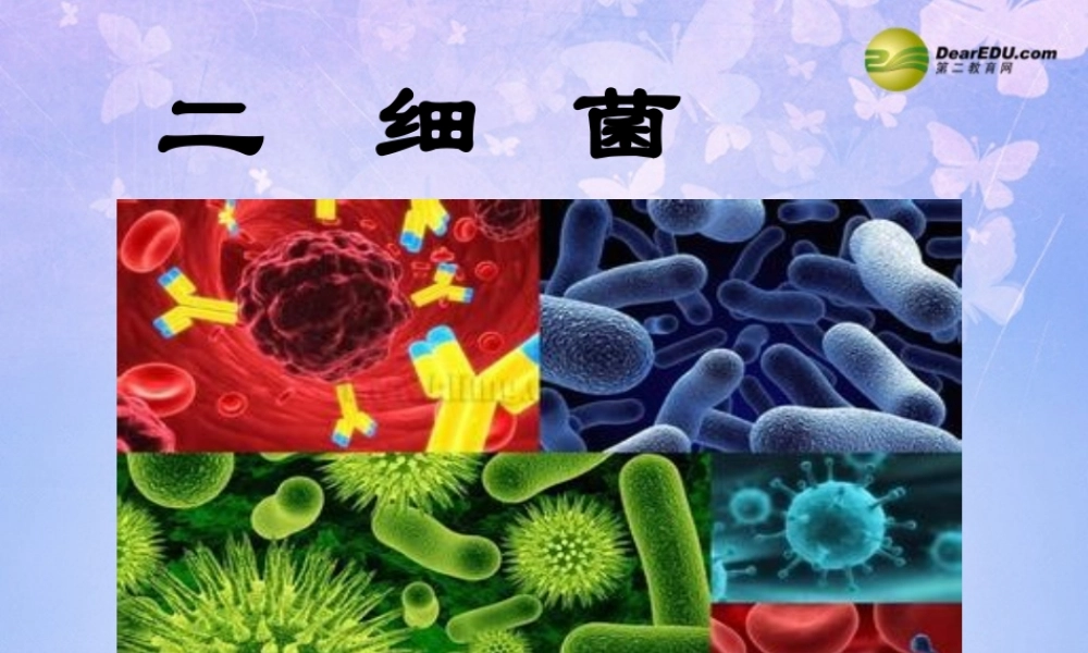 八年级生物上册 4.2 细菌课件 新人教版 课件