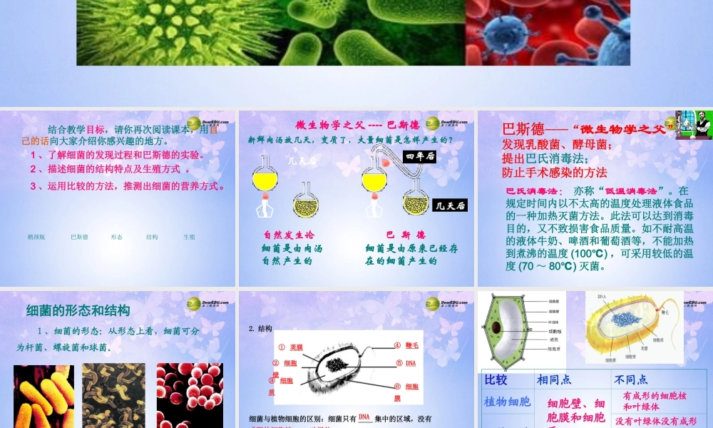 八年级生物上册 4.2 细菌课件 新人教版 课件