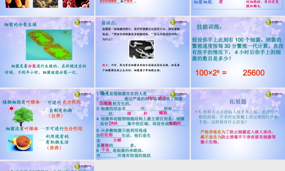 八年级生物上册 4.2 细菌课件 新人教版 课件