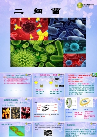 八年级生物上册 4.2 细菌课件 新人教版 课件