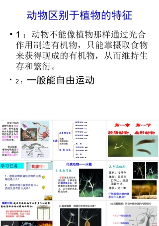 1.1八年级生物上册《第一章-第一节-腔肠动物和扁形动物》课件-(参考)