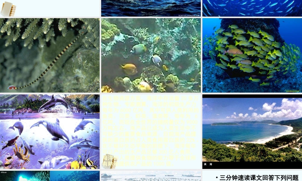 八年级语文上册 第19课(海洋是未来的粮仓)课件 语文版 课件