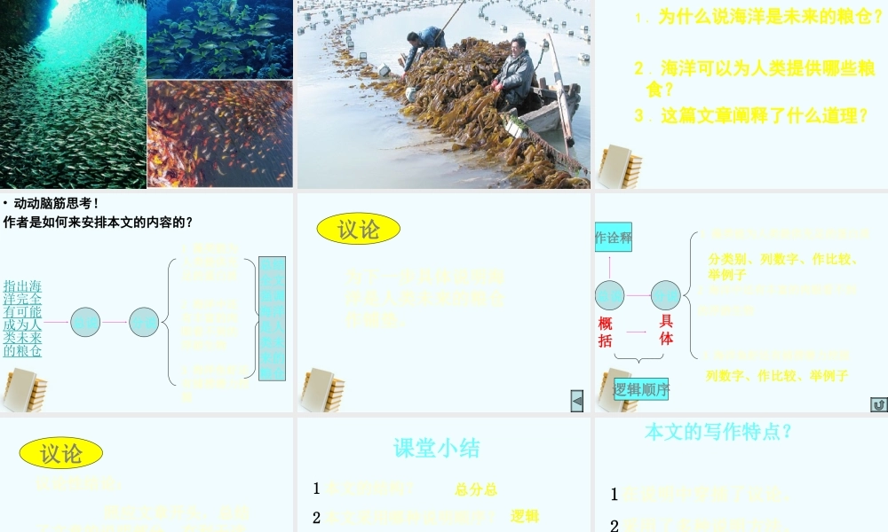 八年级语文上册 第19课(海洋是未来的粮仓)课件 语文版 课件