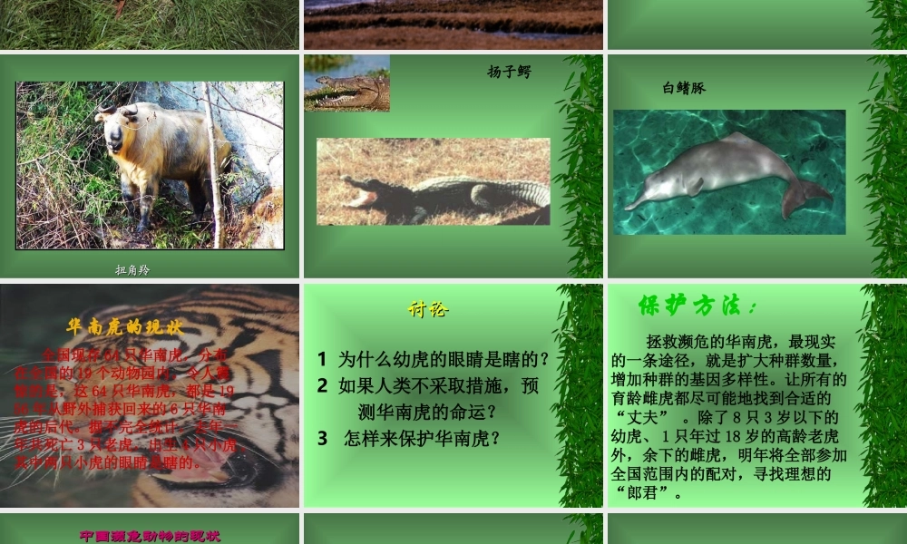 我国动物资源的保护 八年级生物上册第17章第2节我国动物资源及保护课件北师大版 八年级生物上册第17章第2节我国动物资源及保护课件北师大版