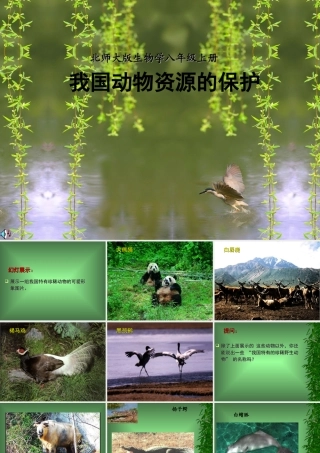 我国动物资源的保护 八年级生物上册第17章第2节我国动物资源及保护课件北师大版 八年级生物上册第17章第2节我国动物资源及保护课件北师大版