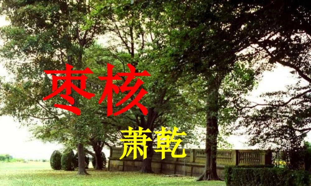 八年级语文上册 6 枣核课件1 苏教版 课件