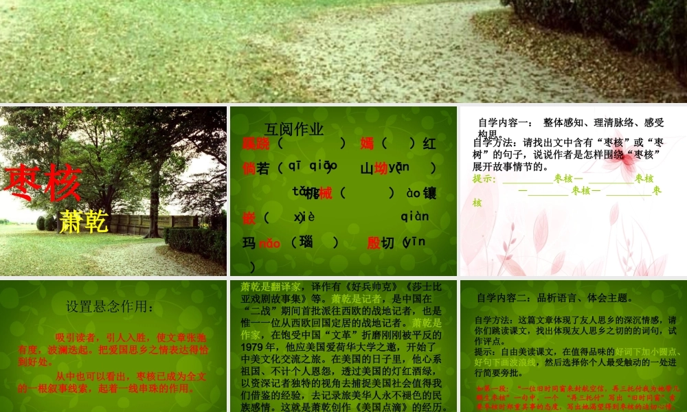 八年级语文上册 6 枣核课件1 苏教版 课件