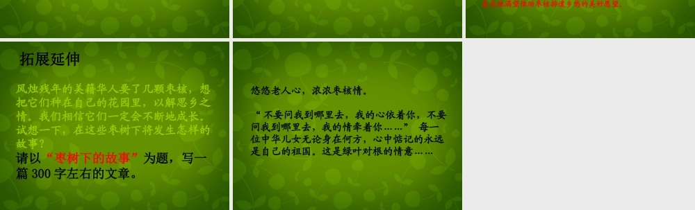 八年级语文上册 6 枣核课件1 苏教版 课件