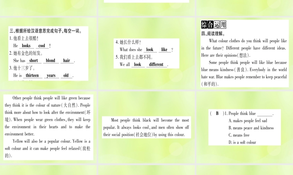七年级英语上册 Unit 3 Body Parts and Feelings Lesson 18 We All Look Different课件 (新版)冀教版 课件