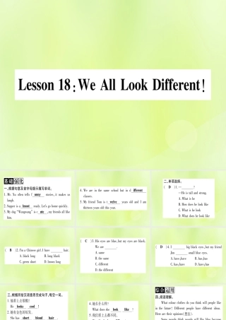 七年级英语上册 Unit 3 Body Parts and Feelings Lesson 18 We All Look Different课件 (新版)冀教版 课件