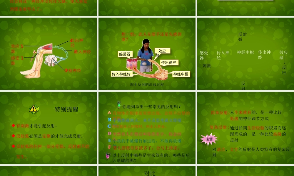 七年级生物下册 第四单元 第六章 第3节(神经调节的基本方式)课件 新人教版 课件