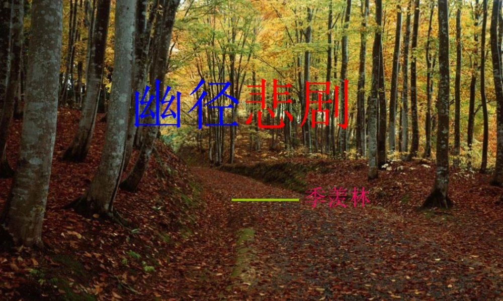 八年级语文上册 (幽径悲剧)教学课件 苏教版 课件