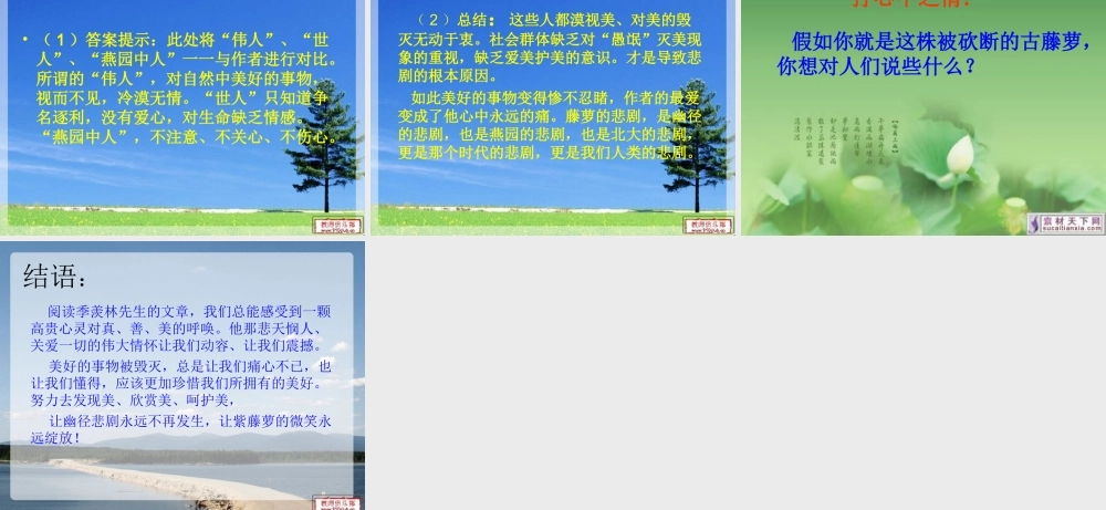 八年级语文上册 (幽径悲剧)教学课件 苏教版 课件