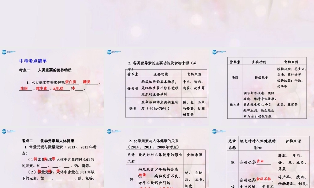 中考化学总复习 第十二单元 化学与生活课件