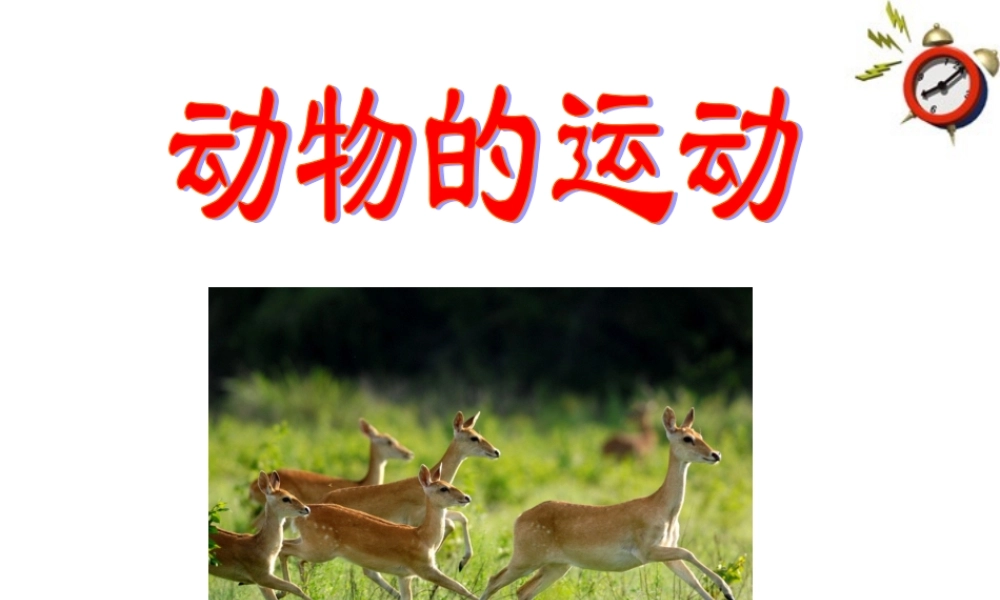 七年级生物上册 第二节动物的运动课件 济南版 课件