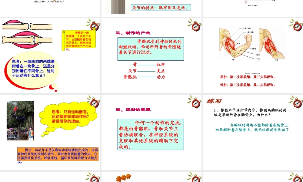 七年级生物上册 第二节动物的运动课件 济南版 课件