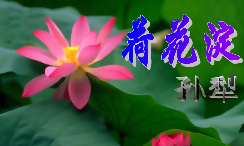 山东省无棣二中高一语文(荷花淀)课件(3) 课件