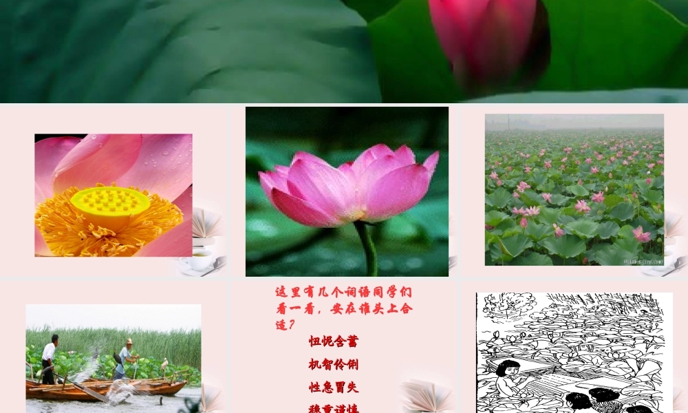 山东省无棣二中高一语文(荷花淀)课件(3) 课件