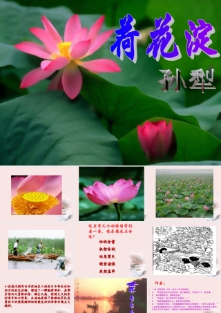 山东省无棣二中高一语文(荷花淀)课件(3) 课件