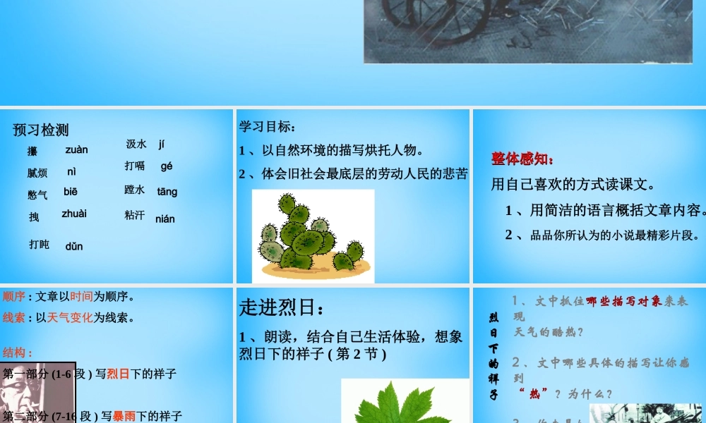 九年级语文上册(27 在烈日和暴雨下)课件 苏教版 课件