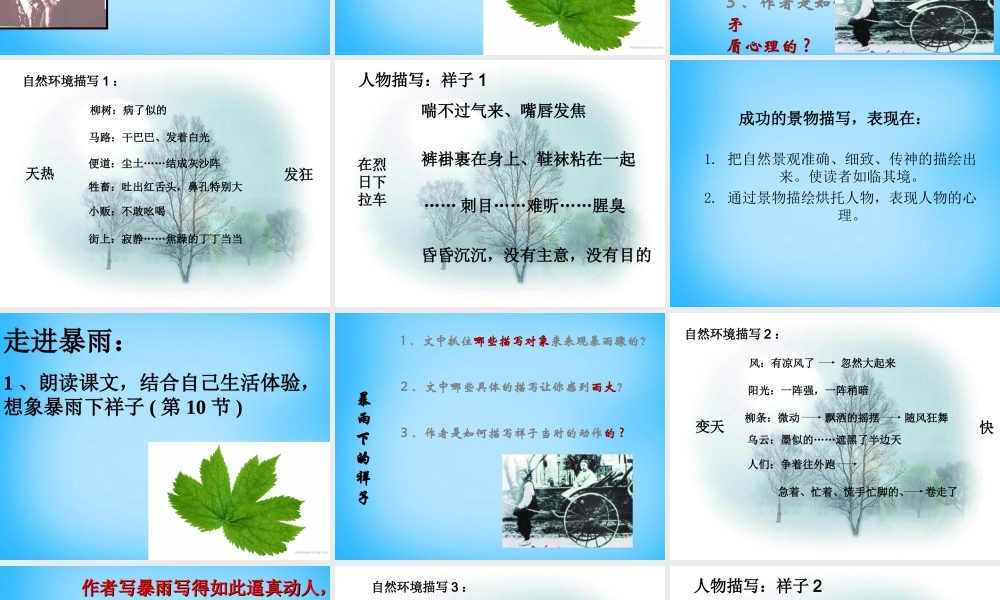 九年级语文上册(27 在烈日和暴雨下)课件 苏教版 课件