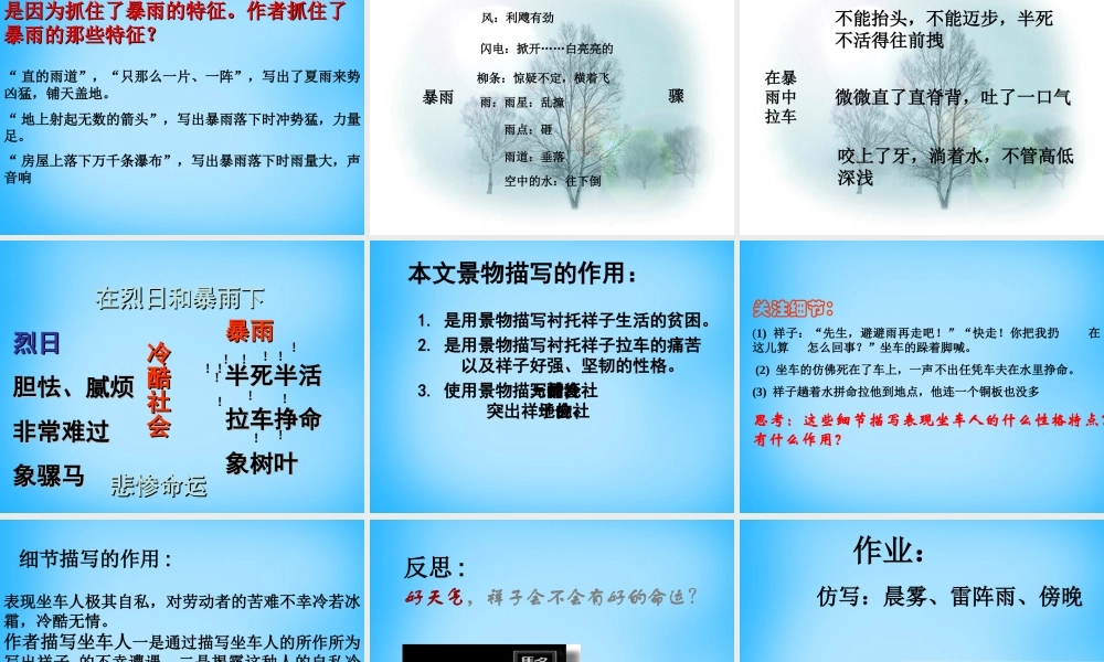 九年级语文上册(27 在烈日和暴雨下)课件 苏教版 课件