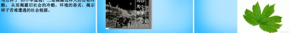 九年级语文上册(27 在烈日和暴雨下)课件 苏教版 课件