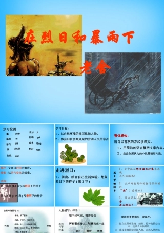 九年级语文上册(27 在烈日和暴雨下)课件 苏教版 课件