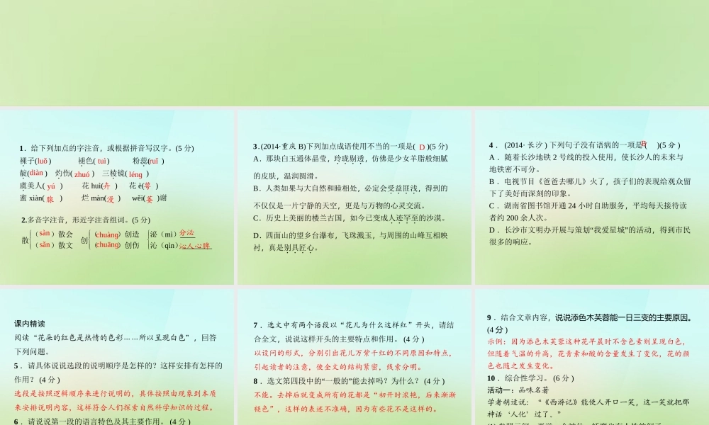 八年级语文上册 第五单元 17.花儿为什么这样红习题课件 语文版 课件