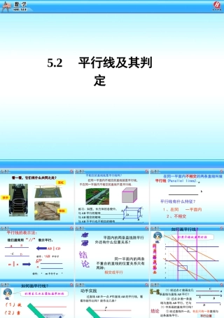 pingxingxianjiqipanding