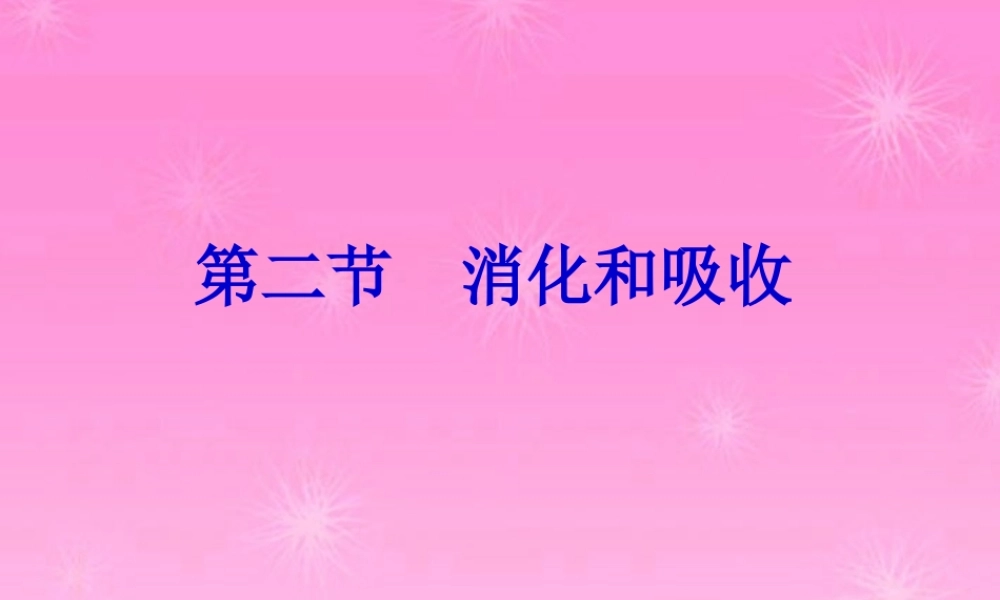 七年级生物 消化和吸收课件 人教新课标版 课件