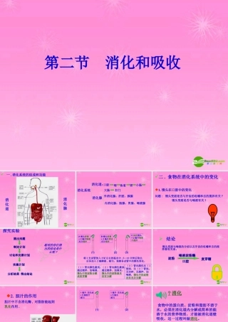 七年级生物 消化和吸收课件 人教新课标版 课件