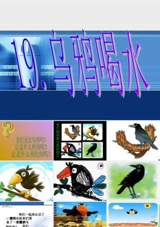 1177乌鸦喝水课件
