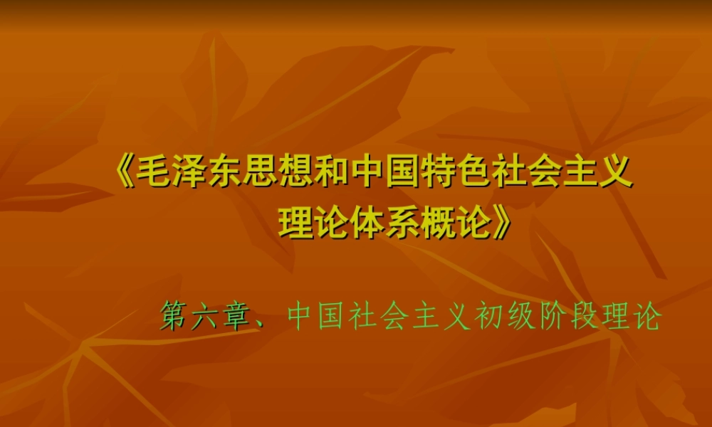 中国社会主义初级阶段理论