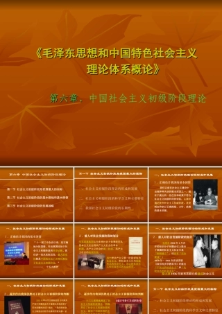 中国社会主义初级阶段理论