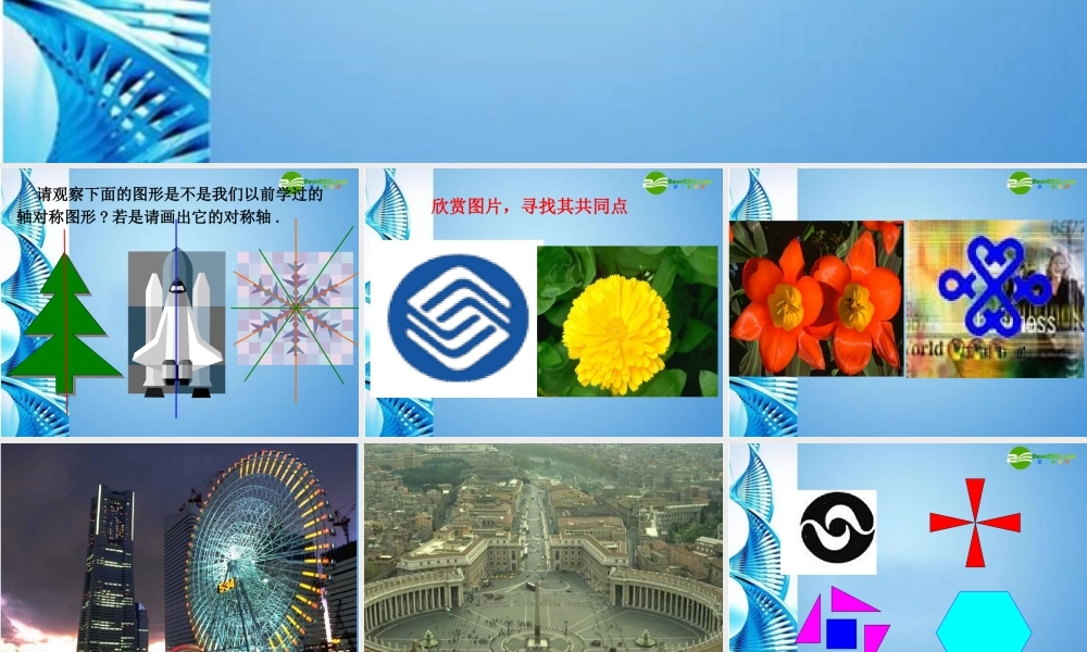 八年级数学下册 5.4中心对称课件(二) 浙教版 课件