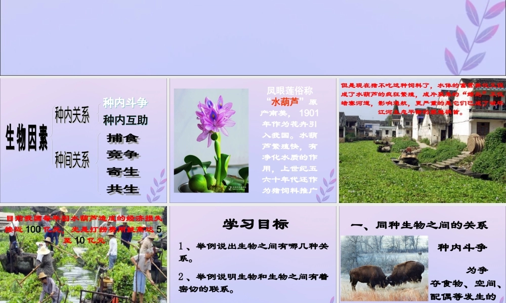 八年级生物下册 第七单元 生物与环境 第一章 生物与环境的关系 7.1.1 环境对生物的影响课件(新版)冀教版 课件