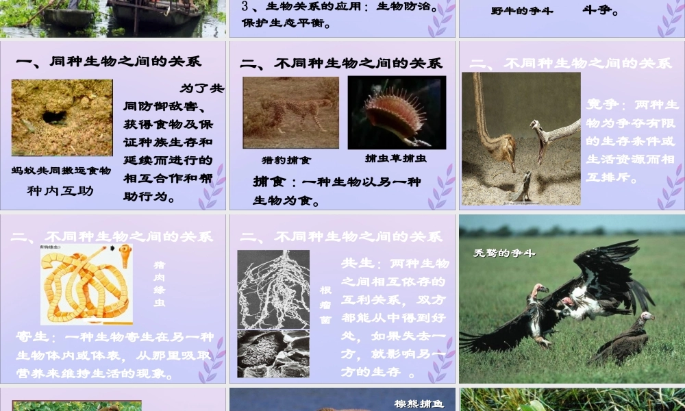 八年级生物下册 第七单元 生物与环境 第一章 生物与环境的关系 7.1.1 环境对生物的影响课件(新版)冀教版 课件