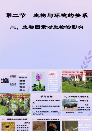 八年级生物下册 第七单元 生物与环境 第一章 生物与环境的关系 7.1.1 环境对生物的影响课件(新版)冀教版 课件