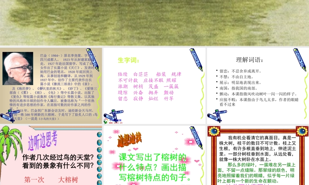 四年级语文上册《鸟的天堂》PPT课件之七(人教新课标)