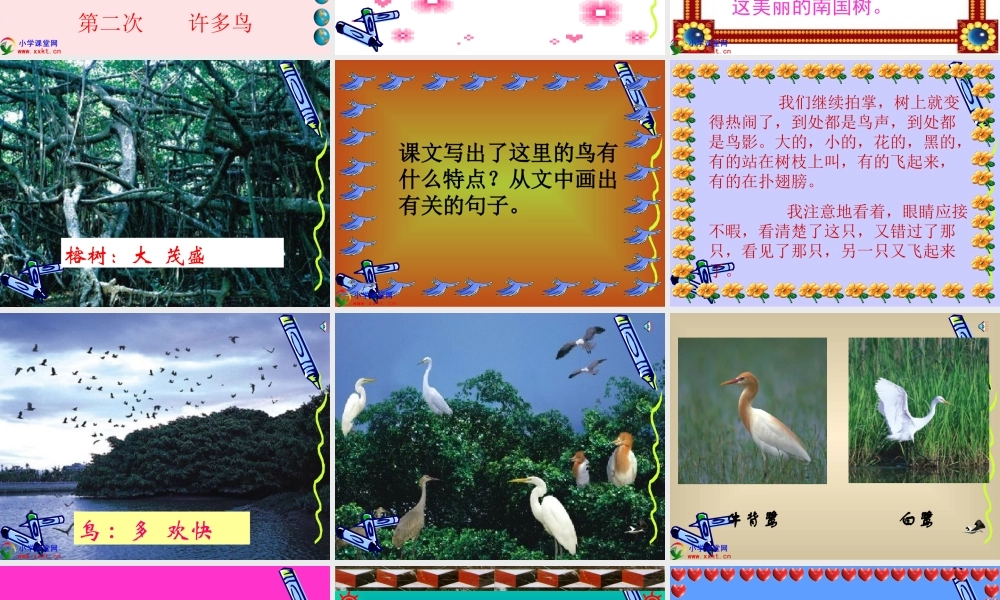 四年级语文上册《鸟的天堂》PPT课件之七(人教新课标)