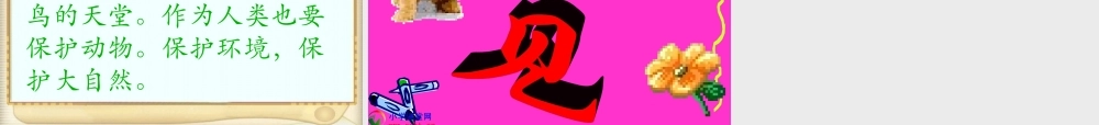 四年级语文上册《鸟的天堂》PPT课件之七(人教新课标)