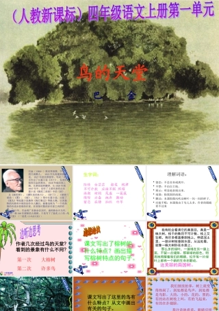 四年级语文上册《鸟的天堂》PPT课件之七(人教新课标)